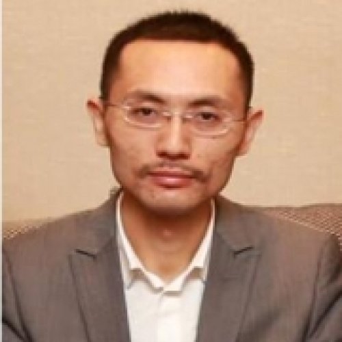 陶冬老师