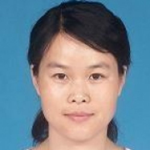 杨晓琴老师