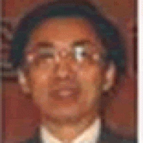 何楚棐老师