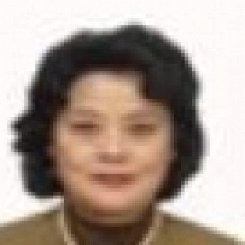 张小慰老师