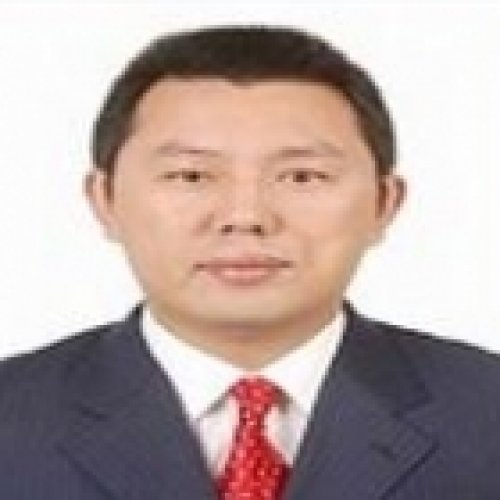陈曼文老师