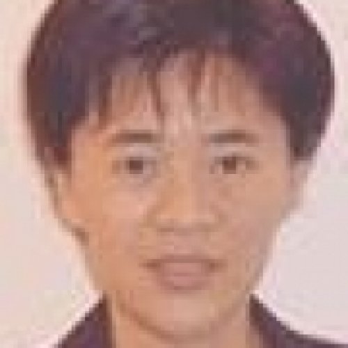 李婧老师