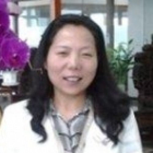 文宏芳老师