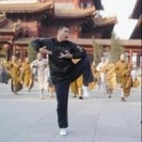 张晓航老师