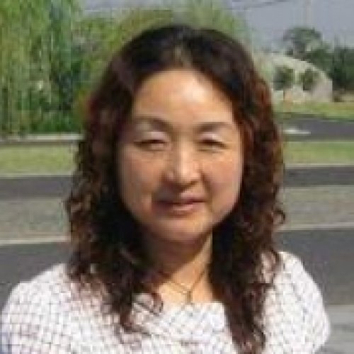 金惠华老师