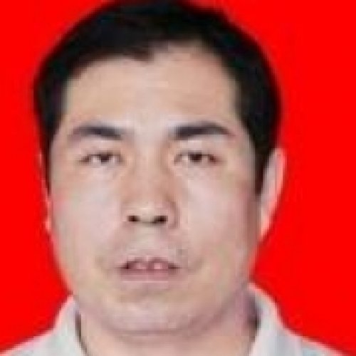 金文老师