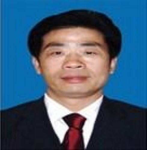 陆辰庚老师