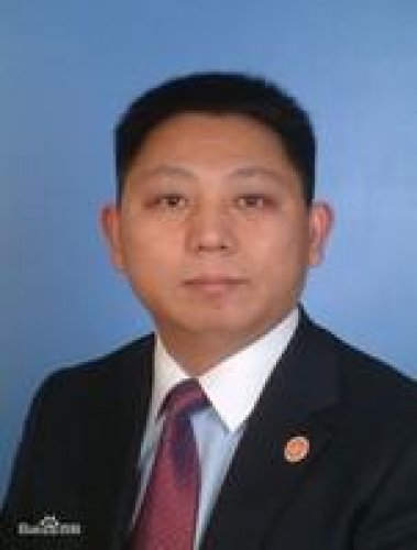 金涛老师