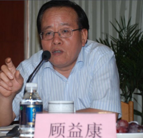 顾益康老师