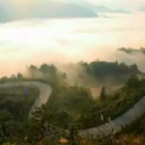 陈厚道老师