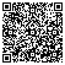 手机端访问
