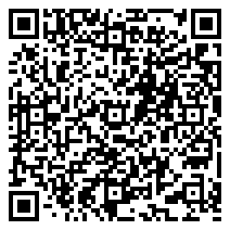 手机端访问