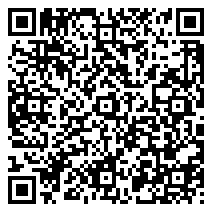 手机端访问